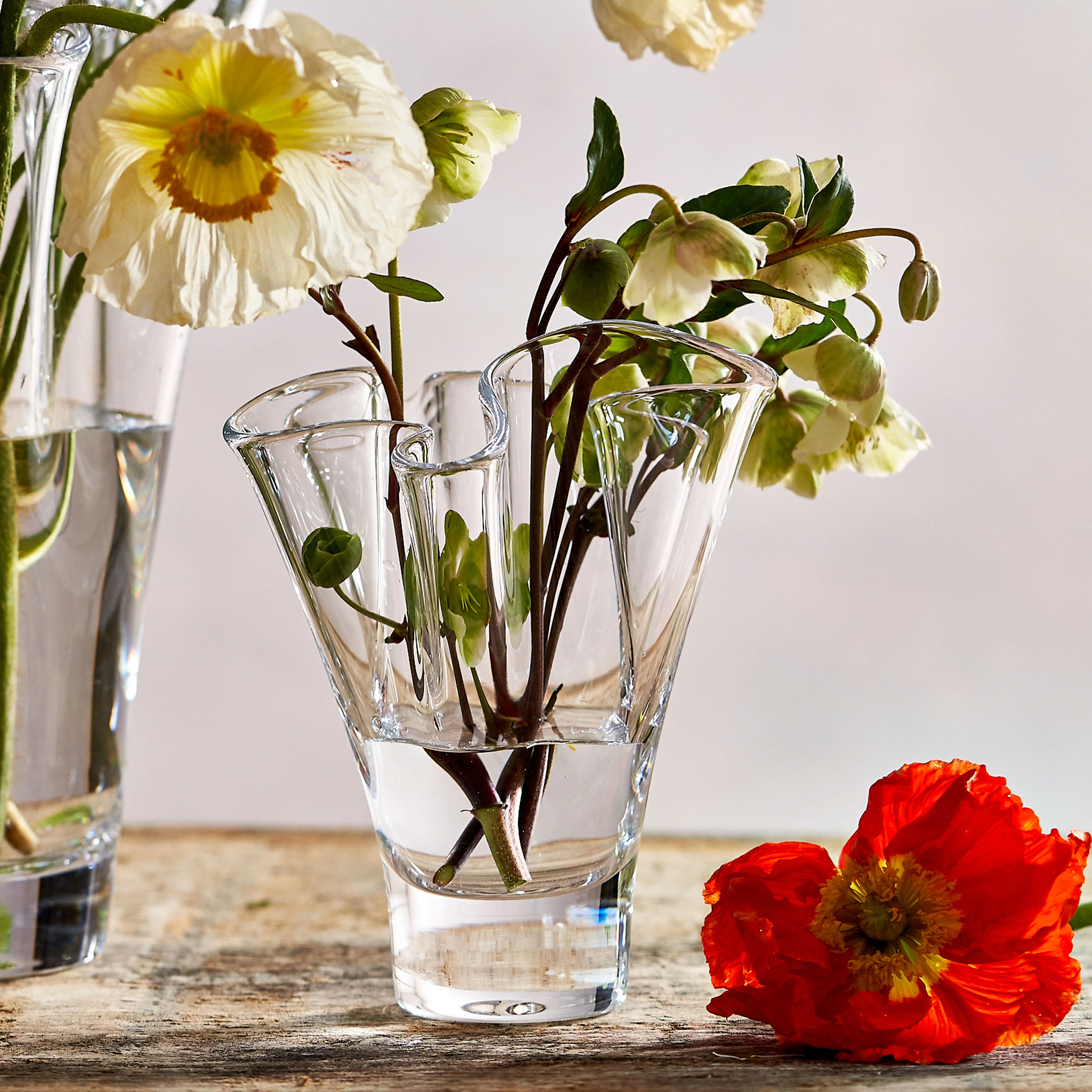 Anemone Vase - Image 5