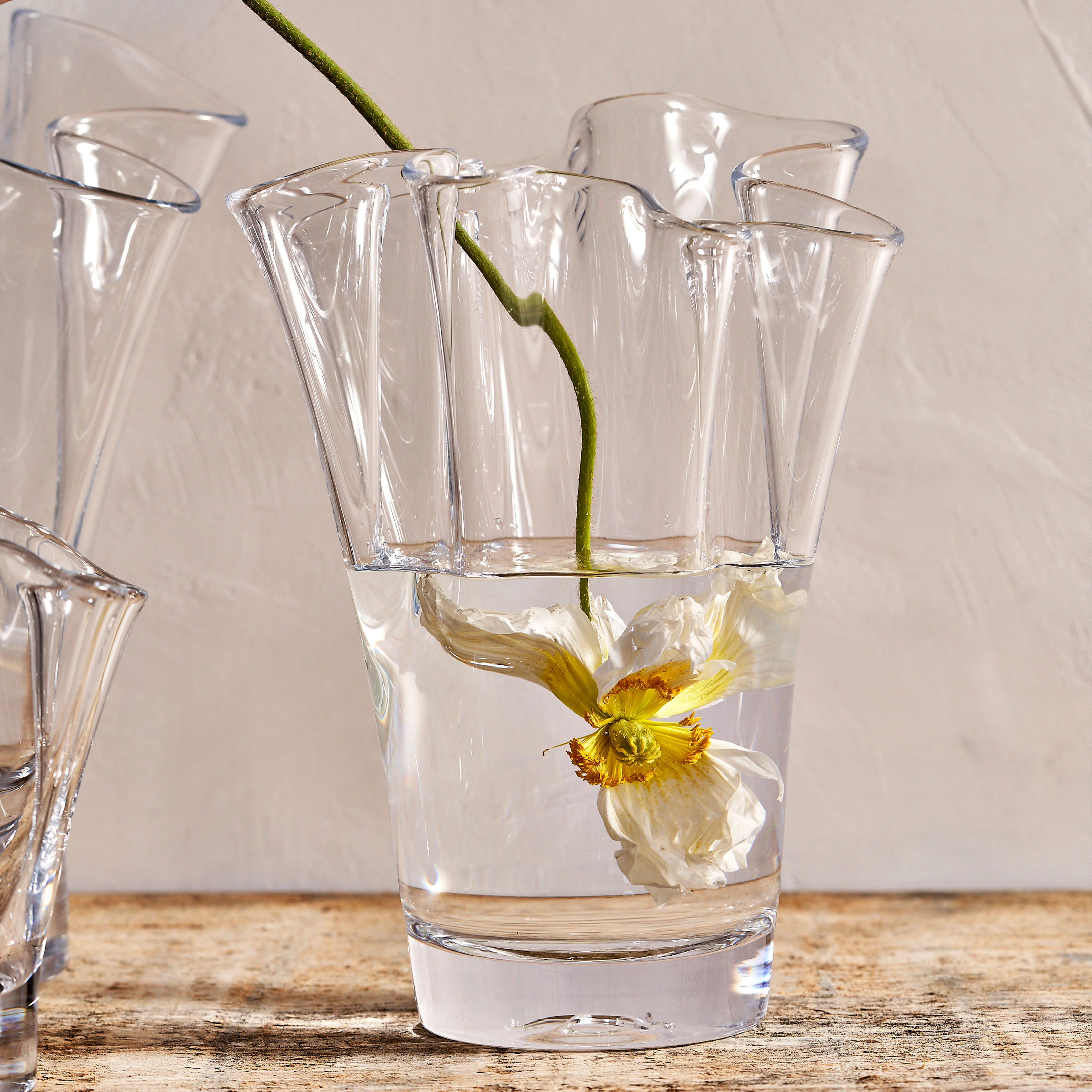 Anemone Vase - Image 6