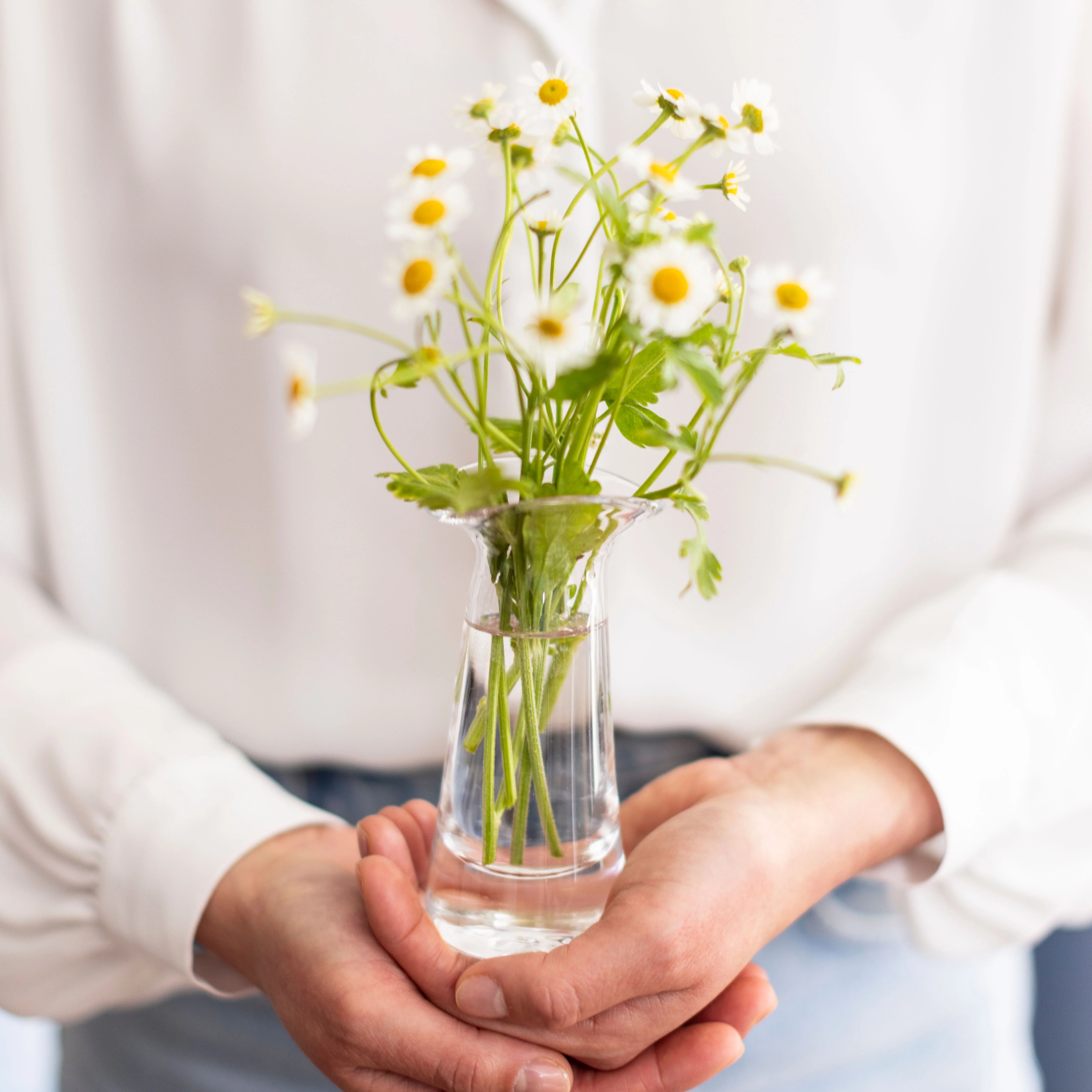 Barre Bud Vase in Gift Box - Image 4