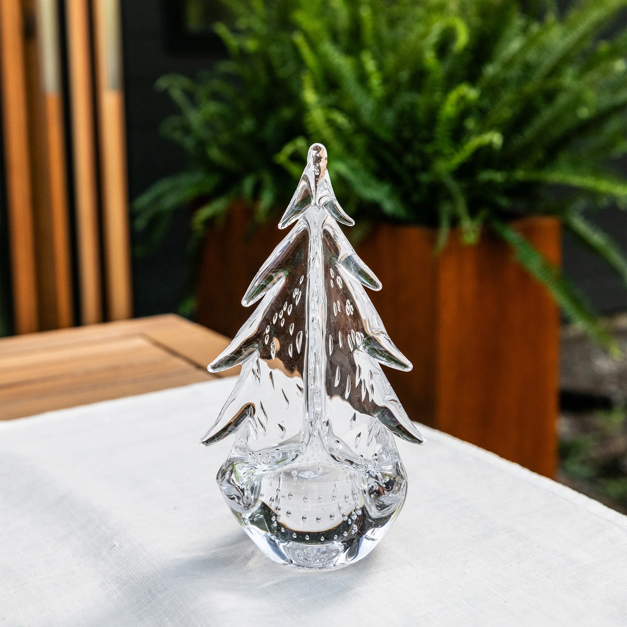 Bubble Evergreen - Image 10