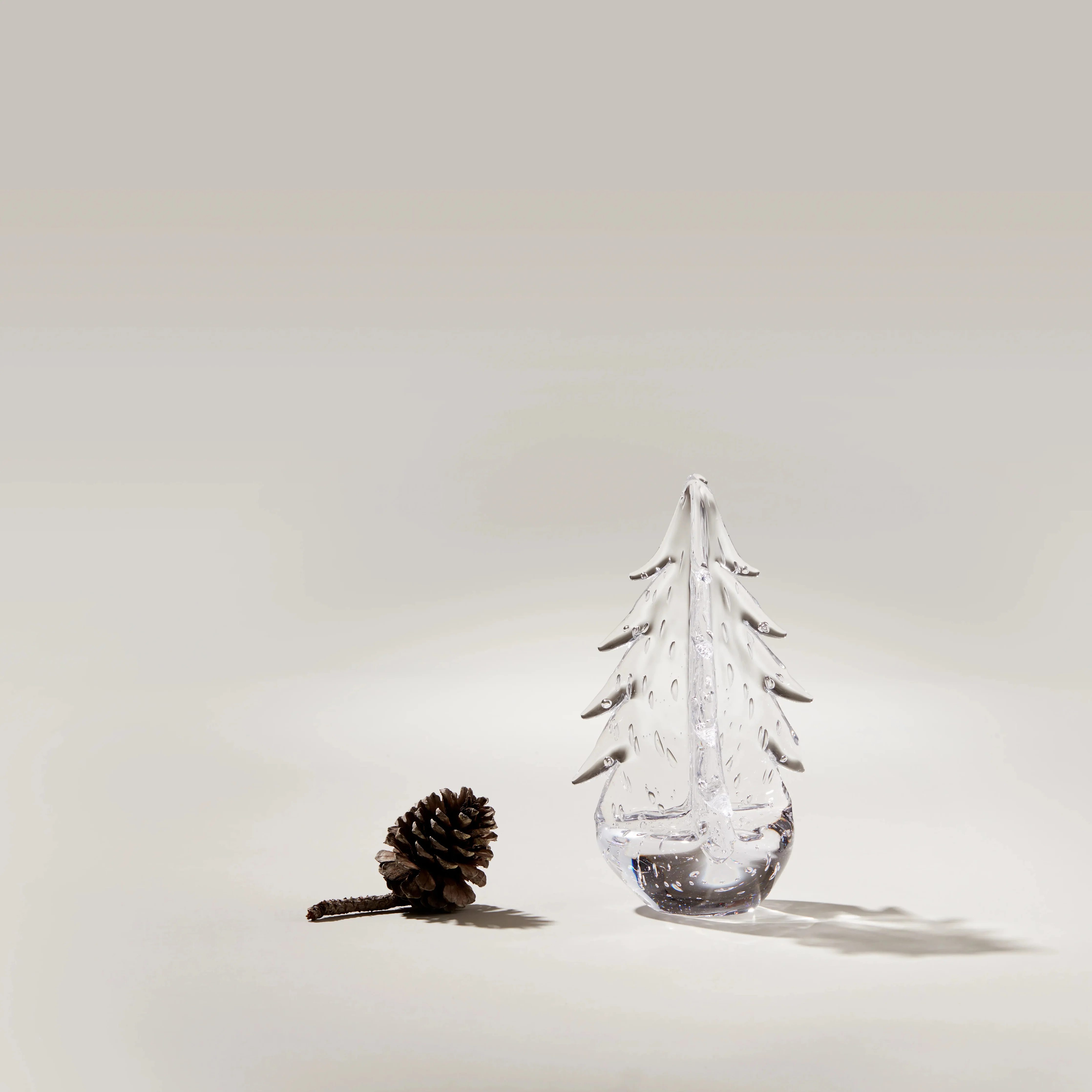 Bubble Evergreen - Image 3