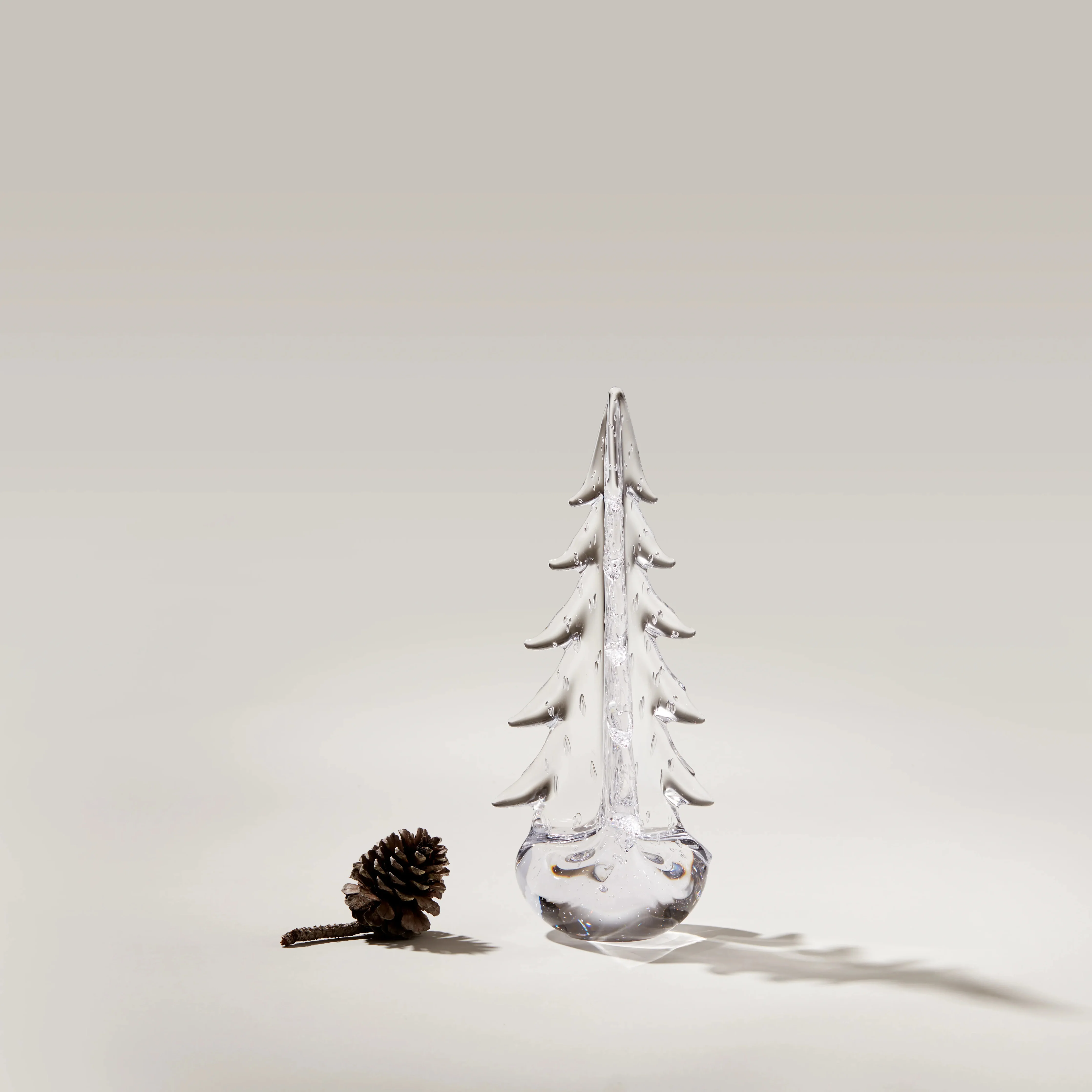 Bubble Evergreen - Image 4