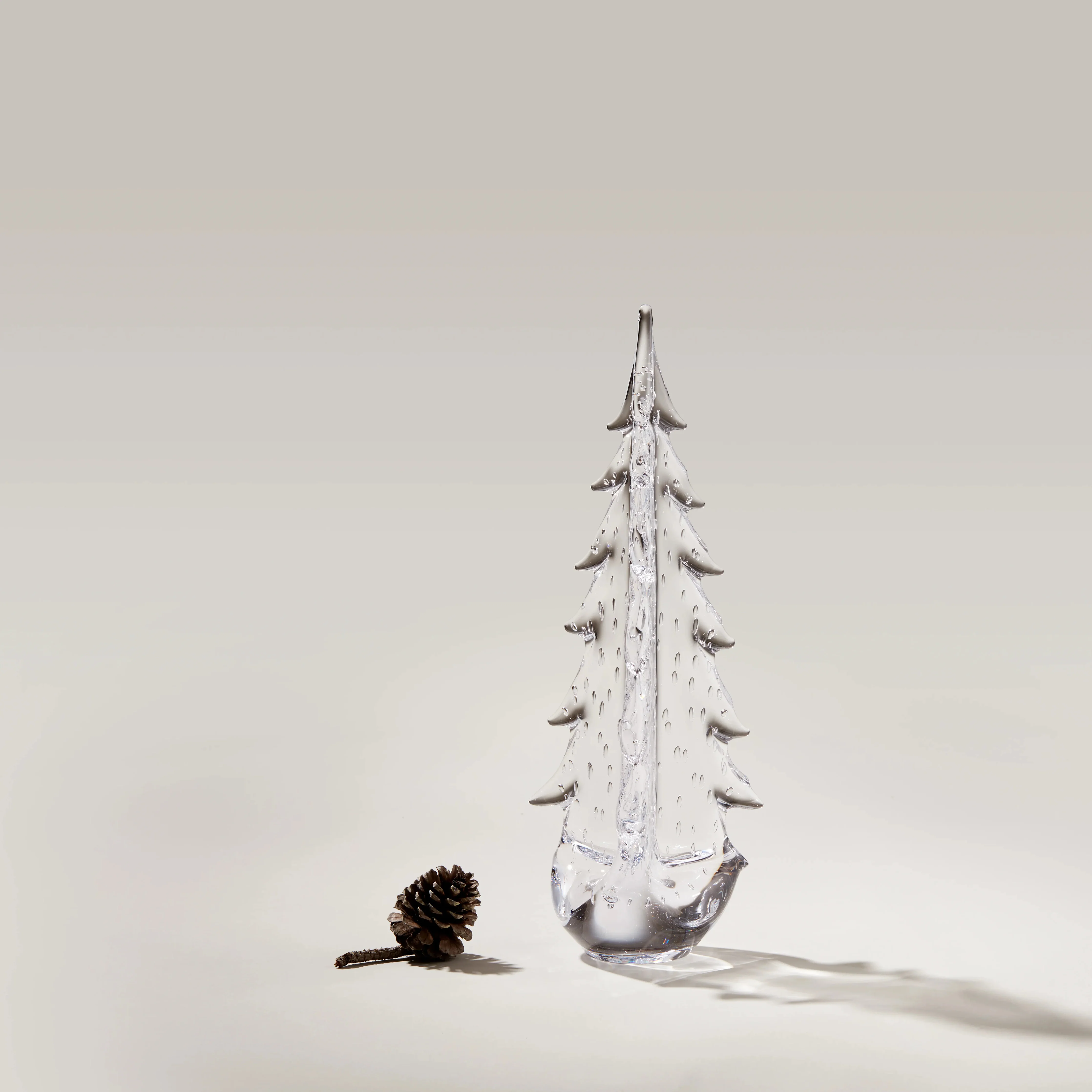 Bubble Evergreen - Image 5