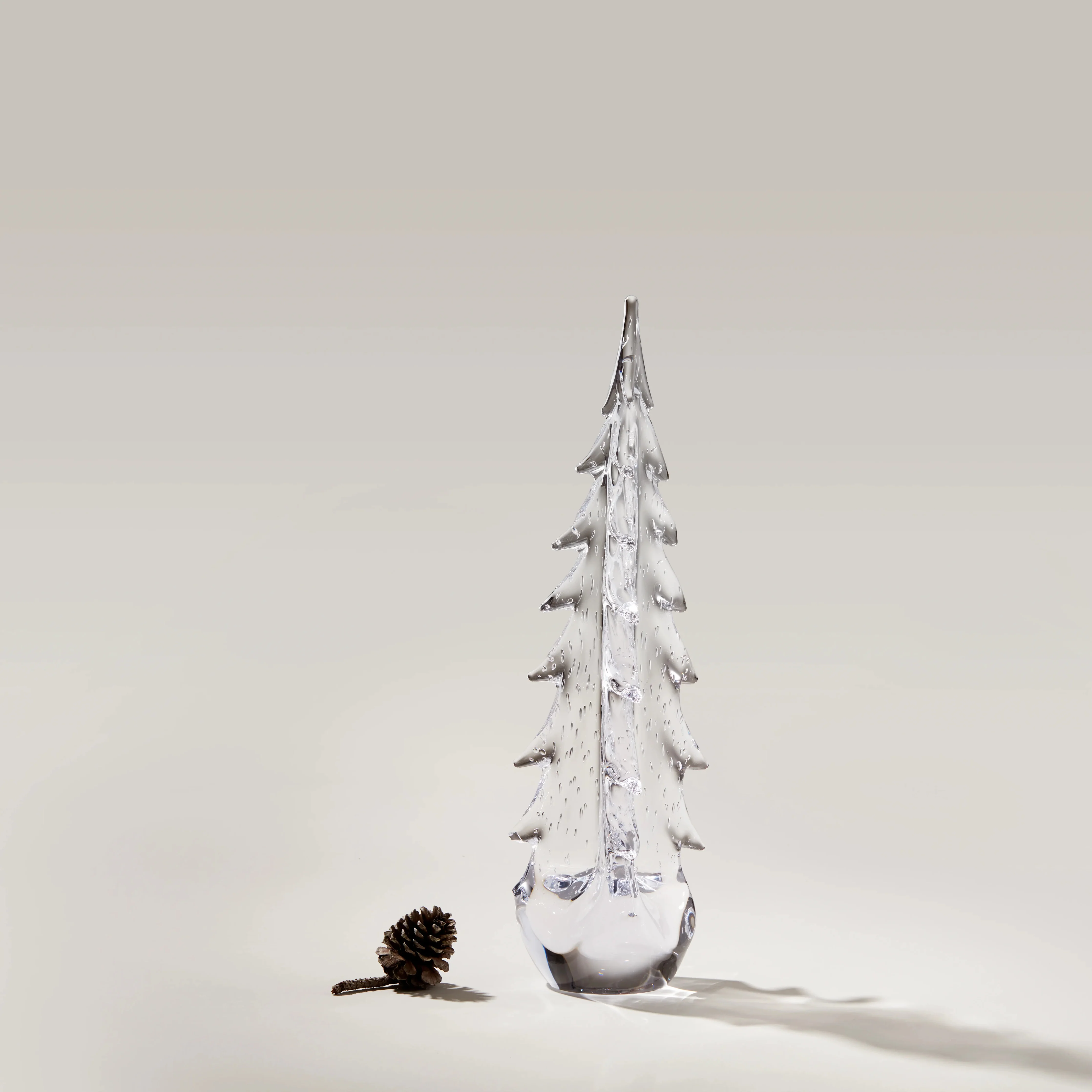 Bubble Evergreen - Image 6