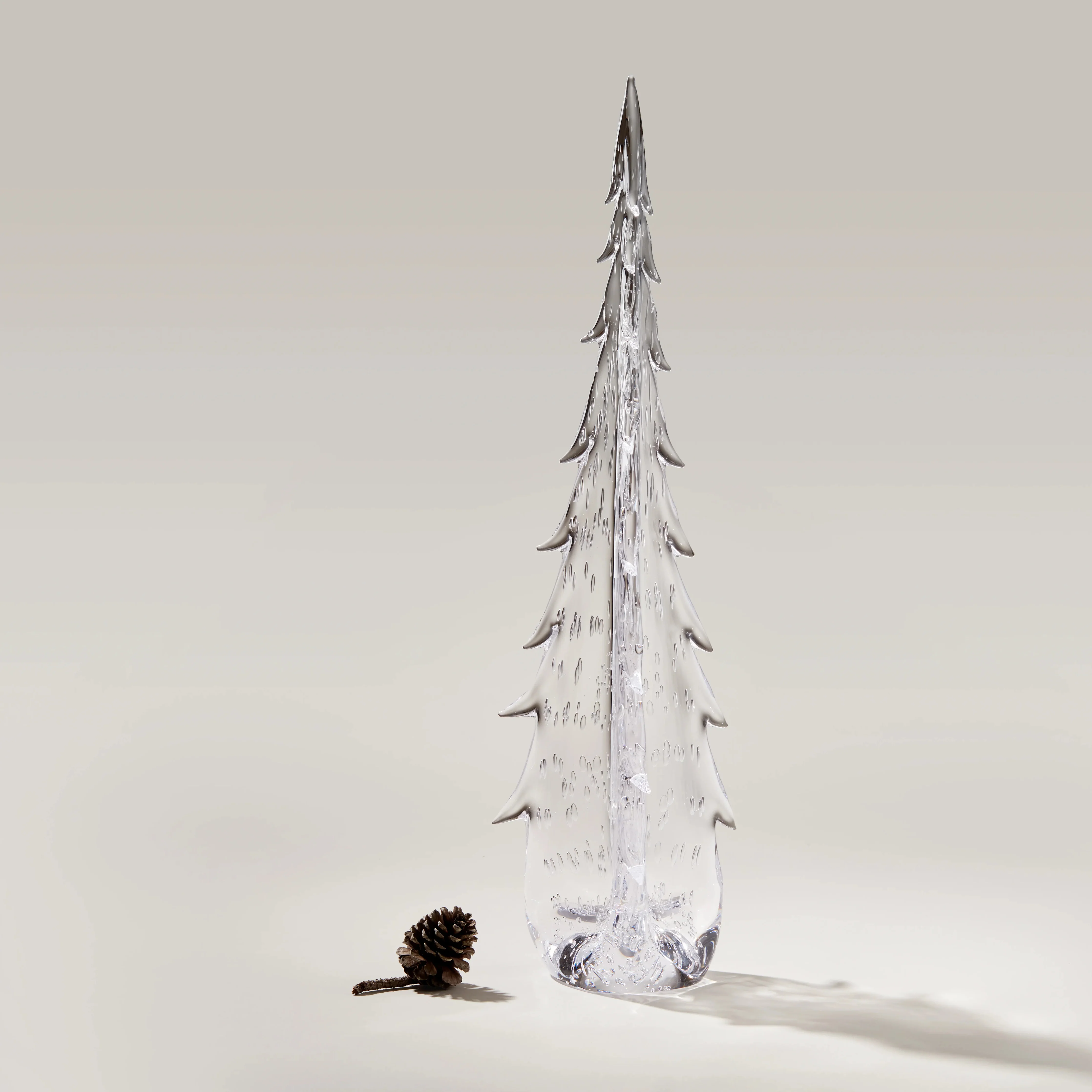 Bubble Evergreen - Image 7