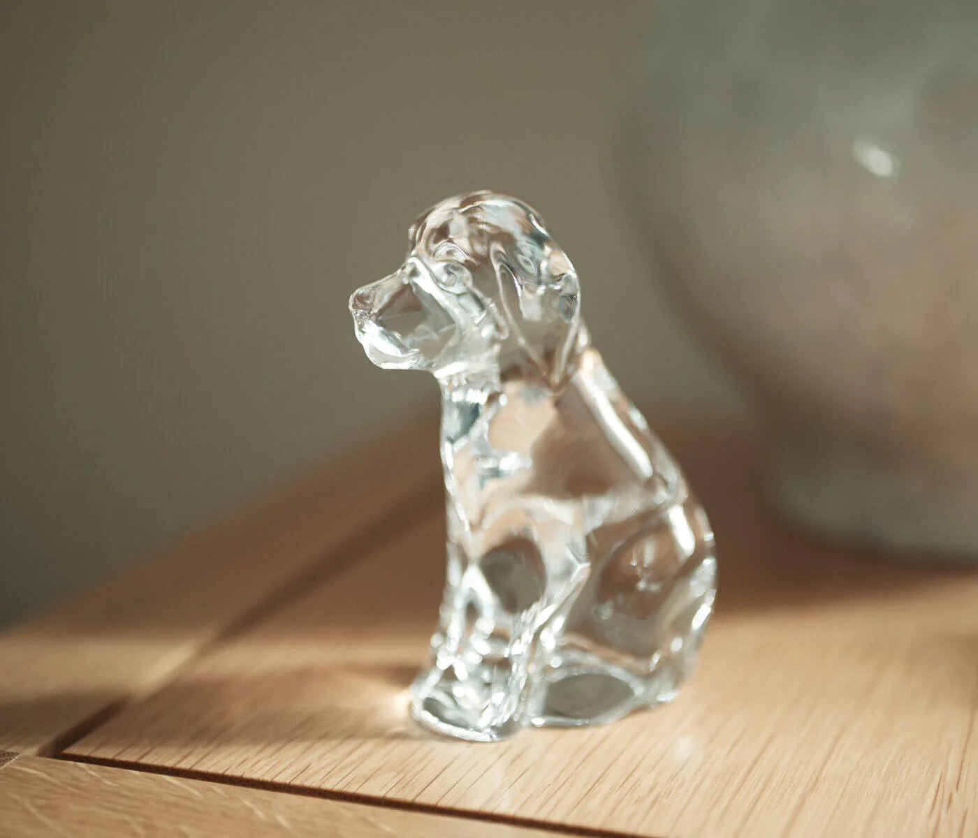 Dog - Image 15