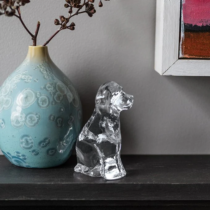 Dog - Image 4