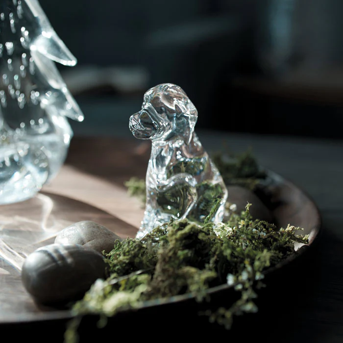 Dog - Image 5
