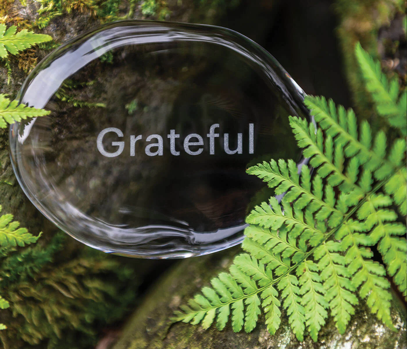 LoveYourBrain Intention Stone — GRATEFUL - Image 5