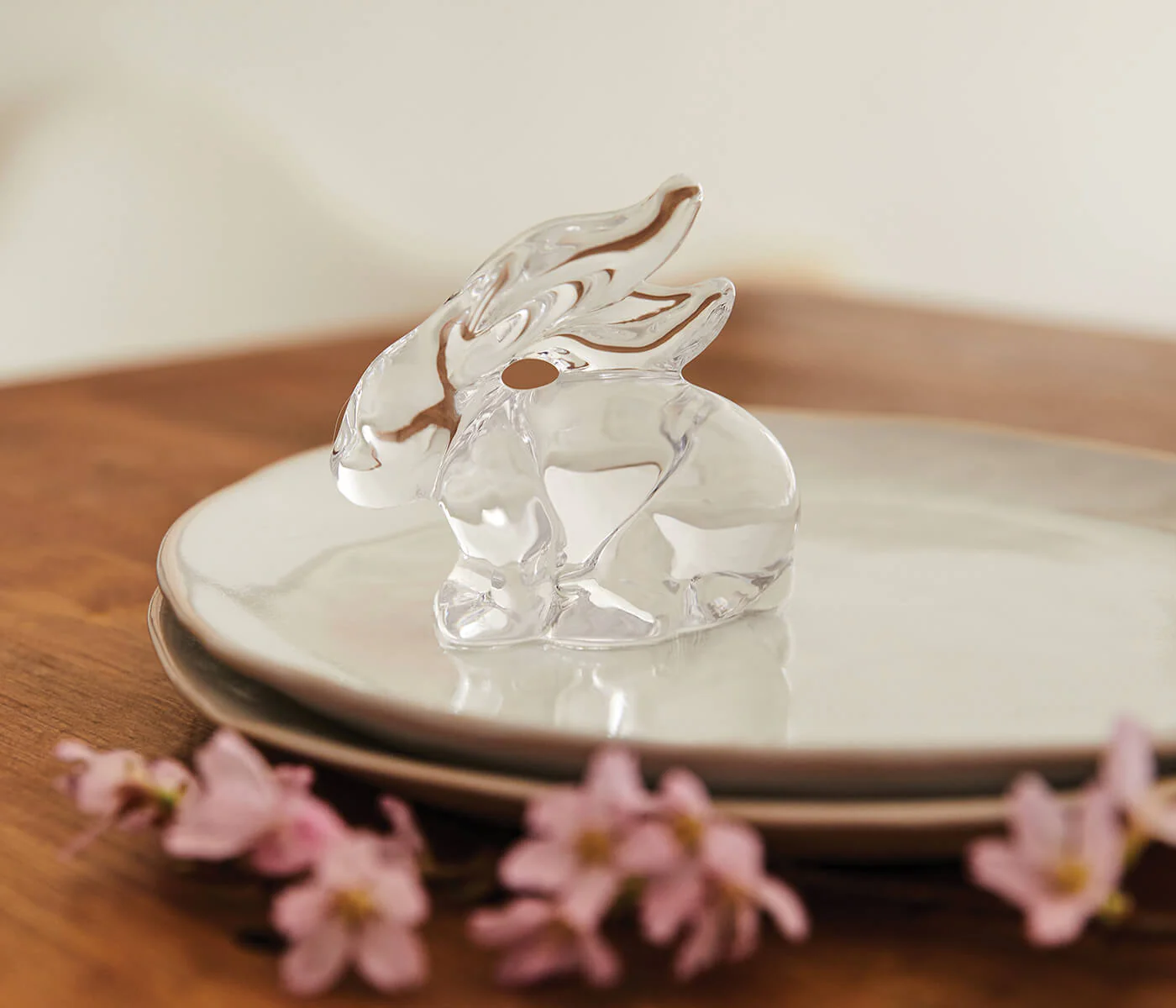 Rabbit - Image 6