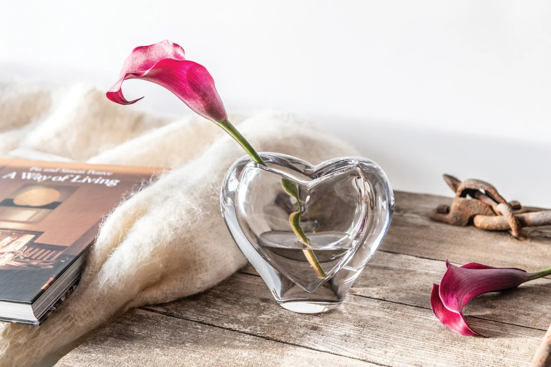 Romance Vase in Gift Box - Image 8