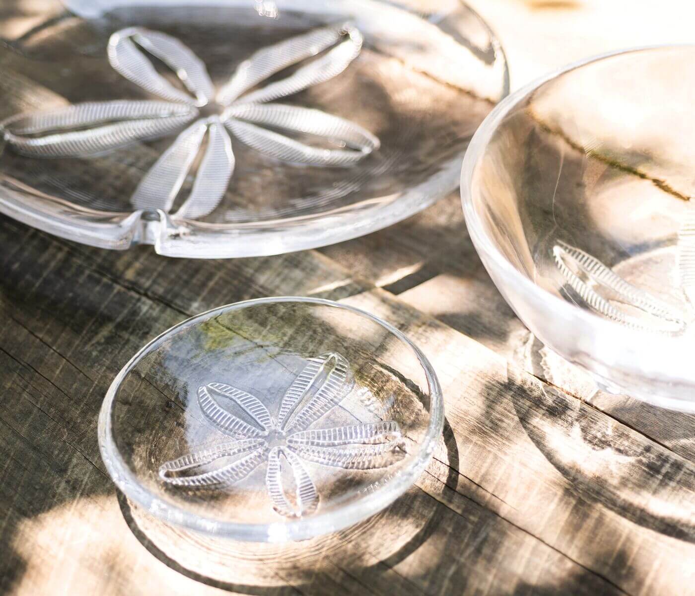Sand Dollar Bowl - Image 4