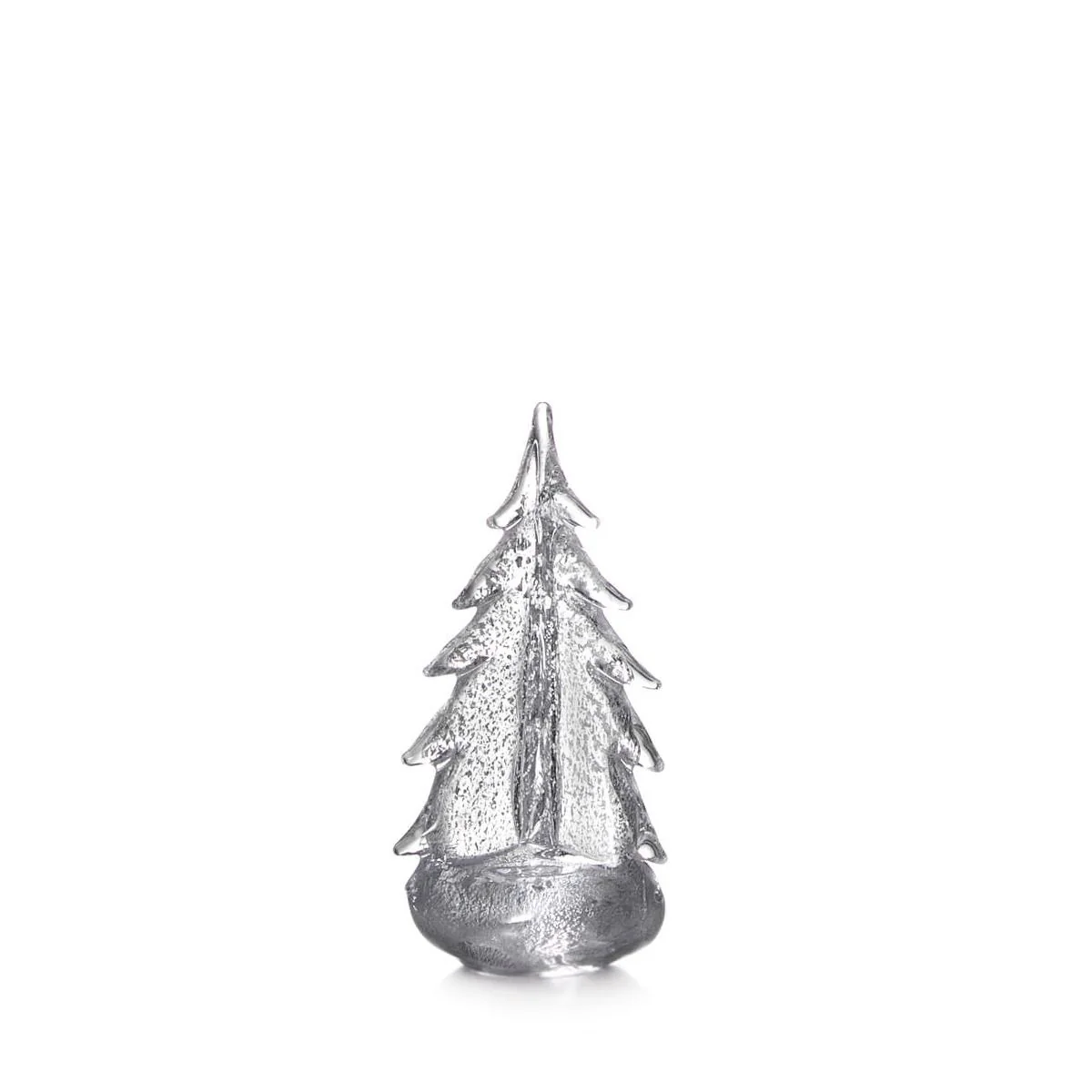 Silver Leaf Evergreen - 10 Inch 2nd