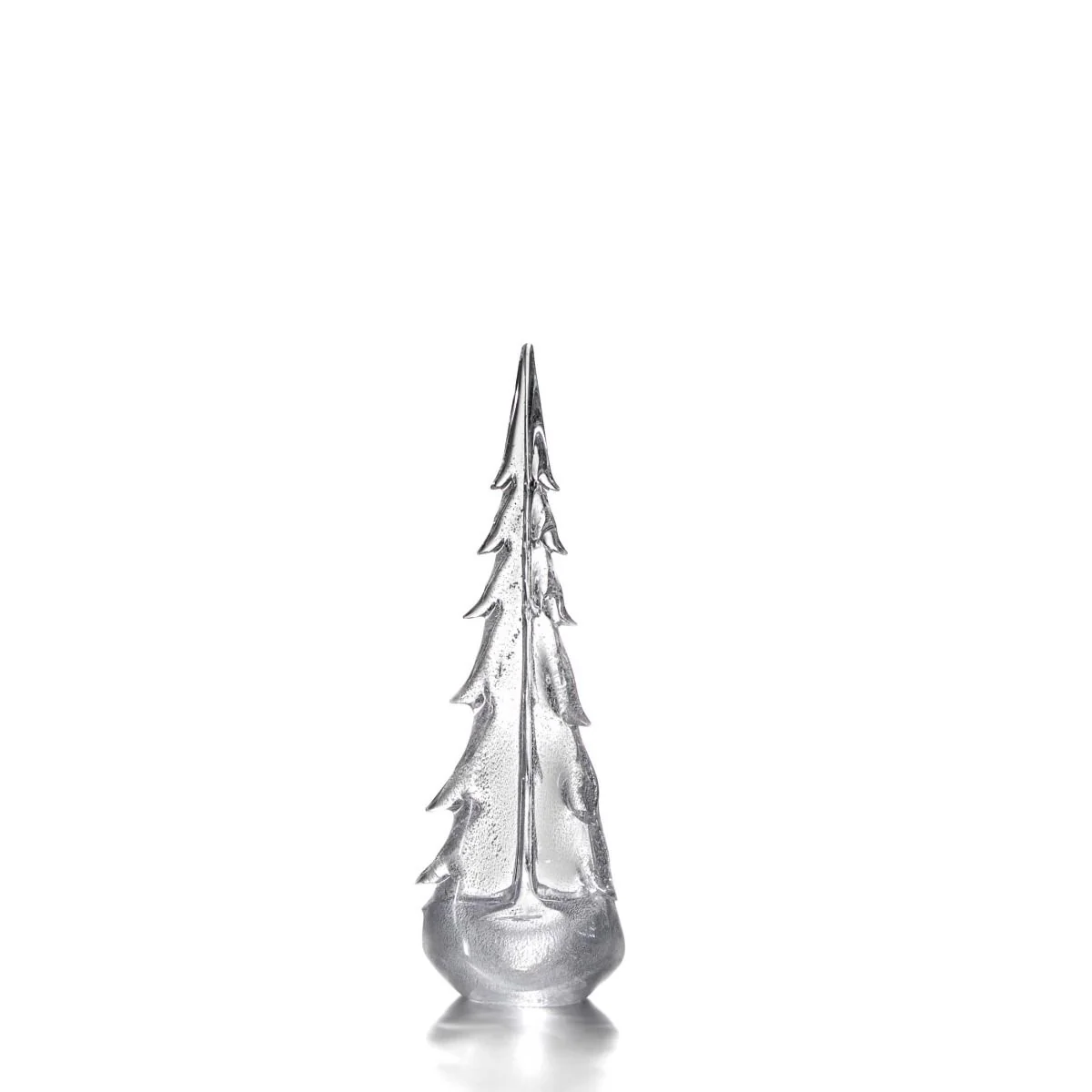 Silver Leaf Evergreen - 18 Inch 2nd