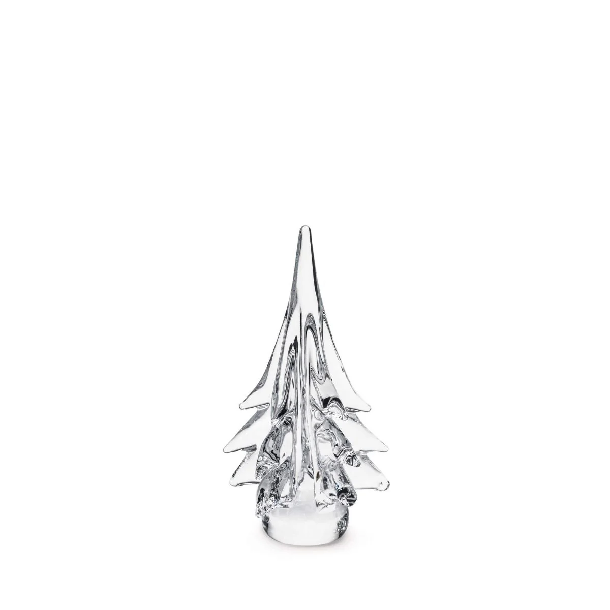 Spruce Evergreen - 10 Inch 2nd